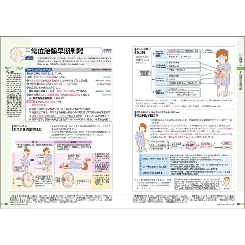 病気がみえる vol.10 産科 | LINEショッピング