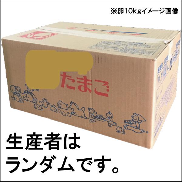 卵 Mサイズ 10kg 約157-172個 業務用 送料無料 夏季クール便