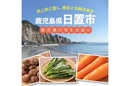 No.788 旬の野菜の詰め合わせ(6~9種類)