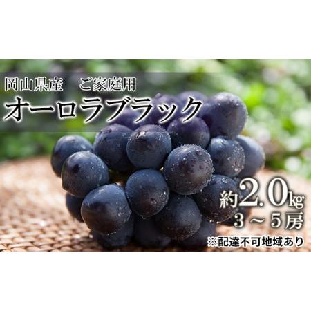 ふるさと納税 桃 2024年 先行予約 ご家庭用 オーロラブラック 約2.0kg（3〜5房）ブドウ 葡萄  岡山県産 国産 フルーツ 果物 岡山県瀬戸内市