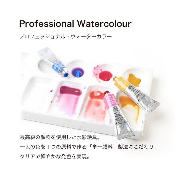 ウィンザー＆ニュートン水彩絵具セット ２４色セット