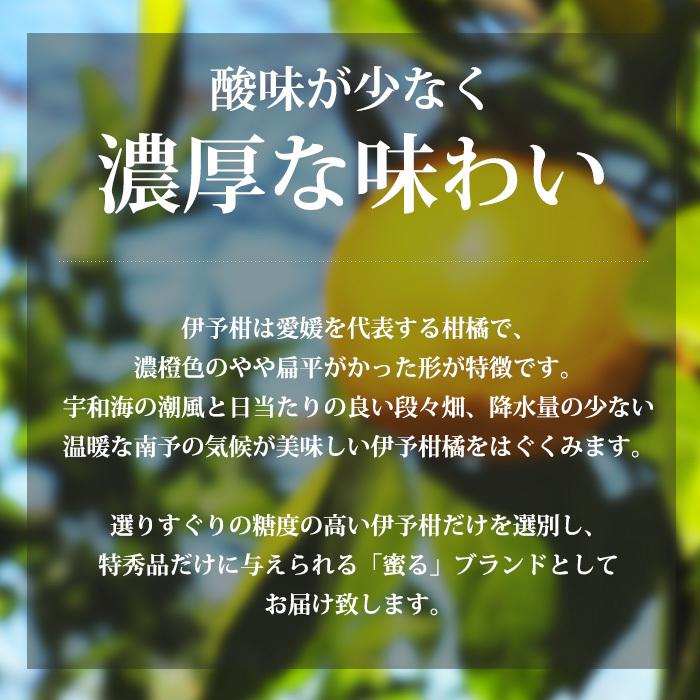 みかん 愛媛県産 伊予柑 蜜る 特秀品 約10kg 2L〜3Lサイズ 30〜36個