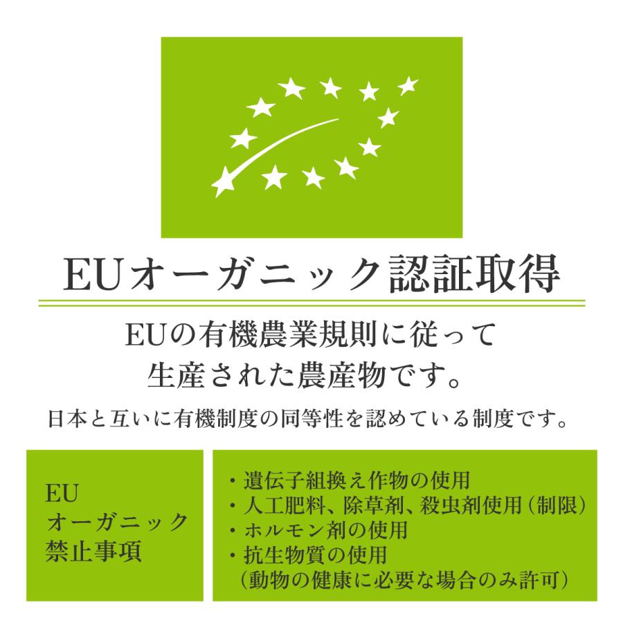 ドライマンゴー 有機 オーガニック 100g スリランカ マンゴー ドライフルーツ 砂糖不使用 無添加 有機JAS認証 美容 健康