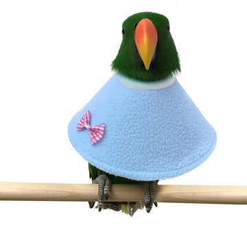 寵物鳥鸚鵡防咬毛項圈衣服伊莉莎白斗篷服飾防抓撓項圈#囎