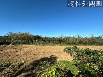 金山區方正2000坪大農地~近福仁宮｜新北市金山區五福段