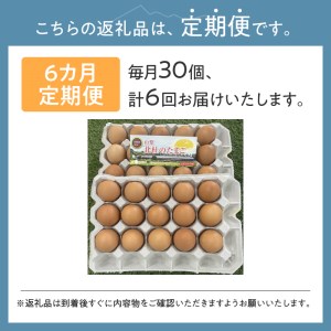 ☆彡6か月定期便☆彡　北杜のたまご（30個入）