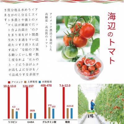 ふるさと納税 松江市 島根県産　海辺のトマト　パック　1kg