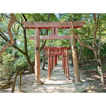 快閃九州|柳川遊船.太宰府品嘗梅枝餅.童話由布院.熊本城.福岡漫遊四日_26SJPFFCC2