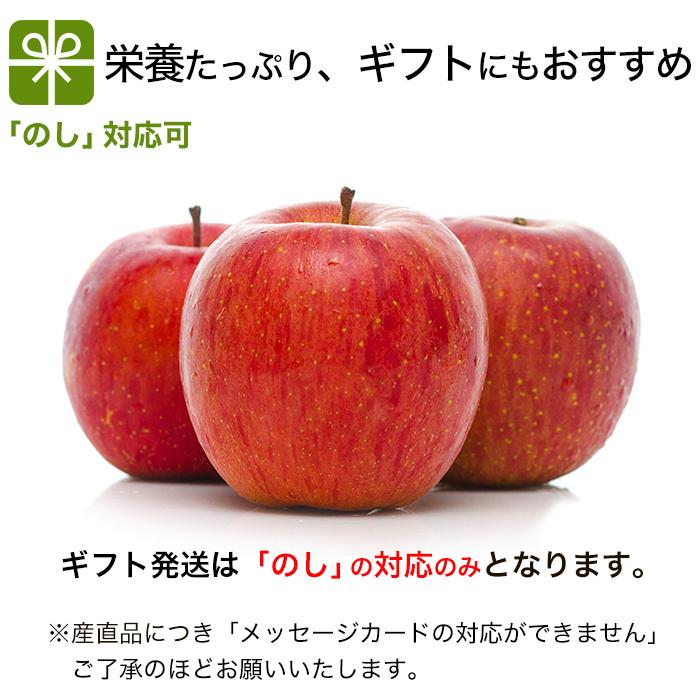 りんご 葉とらずりんご 贈答用 サンふじ 無袋ふじ 減農薬 5Kg 樹上完熟 長野県産 葉取らず 信州りんご リンゴ 林檎