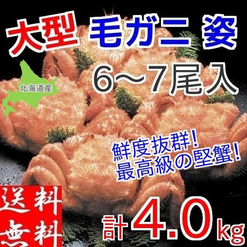 毛ガニ 毛蟹 4kg (6-7尾入) セット 北海道産 メガ盛り 食べ放題 ギフト