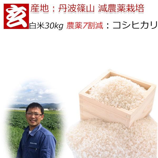 新米 米 30kg 送料無料 農薬7割減栽培 1等米 減農薬米 コシヒカリ白米 産地：丹波篠山産 産年：令和5年 生産者：田渕真也