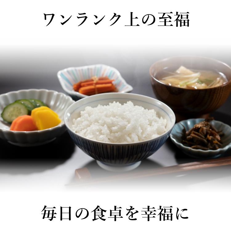 お米 コシヒカリ 精白米 5kg 会津産 送料無料 令和5年産 2023年産 こしひかり 米 こめ 精米