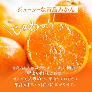 ふるさと納税 みかん 青島みかん 約10kg ミカン 蜜柑 フルーツ 果物 柑橘 柑橘類 柑橘系 1〜2月発送 マルハマ 静岡県湖西市