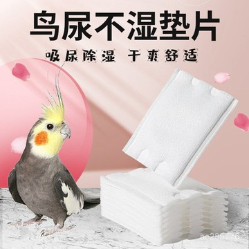 鳥用鸚鵡尿不濕🦜配用尿片鸚鵡屎兜墊片 隔尿布棉寵物適用