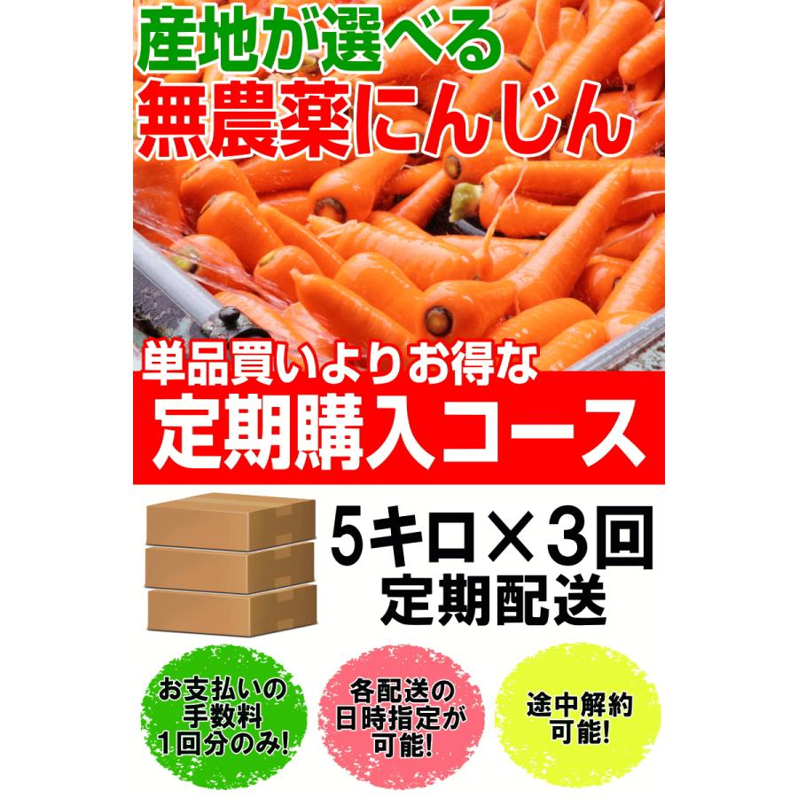 無農薬人参 ジュース用に最適 定期購入 産地が選べる無農薬にんじんＢ品５キロ×3回 計15キロ 訳あり 送料無料