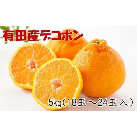 ふるさと納税 紀州有田産のデコポン約5kg(18玉〜24玉入り・青秀以上)★2024年1月下旬頃より順次発送 和歌山県有田川町