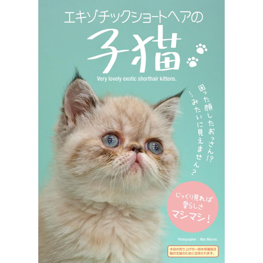 エキゾチックショートヘアの子猫 電子書籍版   MacMarron