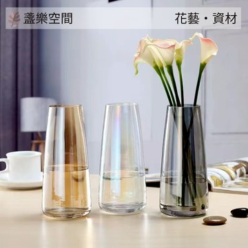 玻璃花瓶 花器 ins花瓶 水培鮮花 插花 輕奢桌面擺件 透明彩色花瓶 6822