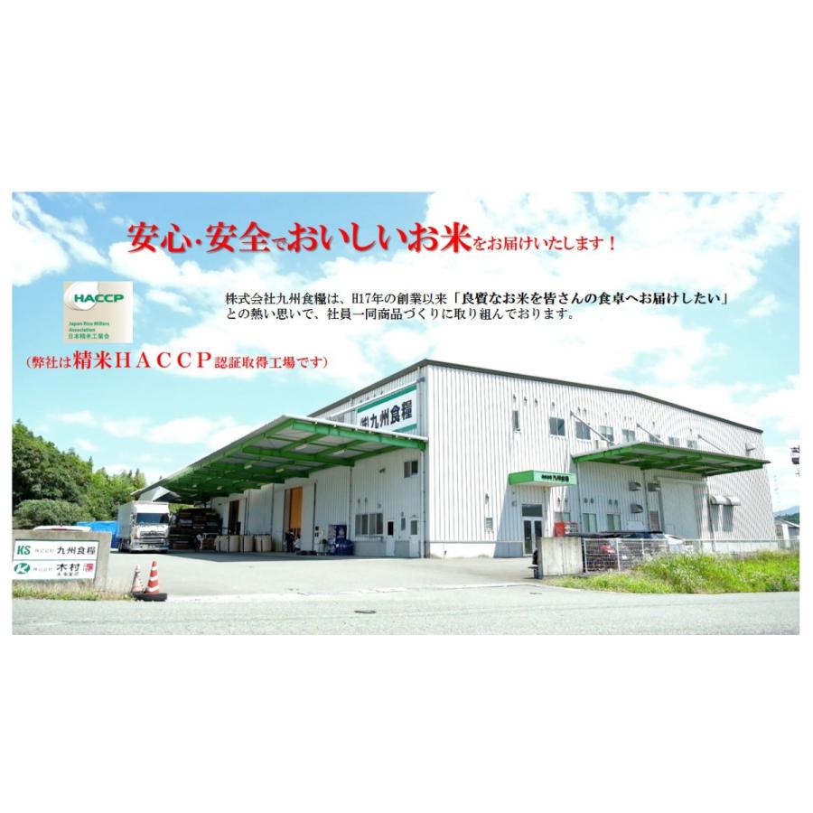 新米　米　お米　２ｋｇ　熊本県産　凄い玄米　ひのひかり　令和５年産　送料無料