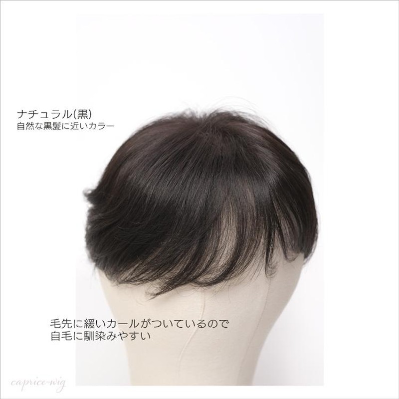 人毛100％ ヘアピース 部分ウィッグ 軽くて自然な総手植え 白髪 薄毛に