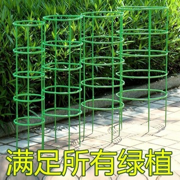 【可開發票】滿99出貨 拼接花支架 花架子 室內家用無限支撐圈 支架子 花卉大全圓形花架 支架