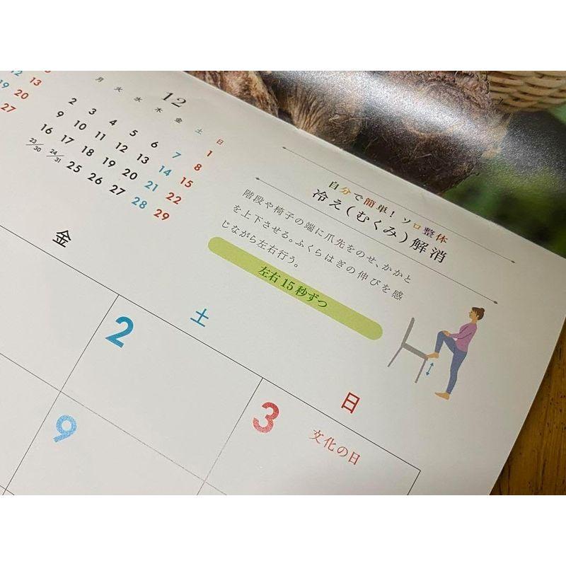 KAGOME 2024年 壁掛けカレンダー
