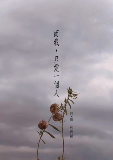 而我，只愛一個人[二手書_近全新]