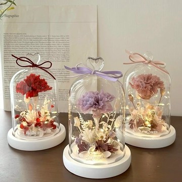 母親節首選【Flora Flower】小花叢康乃馨永生花夜燈 乾燥花 永生花 生日 母親節 禮物