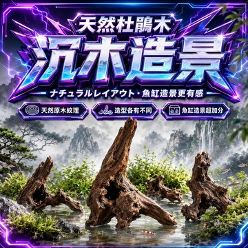 【現貨】天然杜鵑木沉木造景 魚缸原木擺件 水草缸蝦缸佈景 爬蟲造景 水族造景 水族箱 魚缸造景 魚缸裝飾飾品 水草缸造景