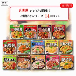 レトルト食品 詰め合わせ 常温保存 レトルト 惣菜 常温 ごはん レトルトご飯 丸美屋 ごはん付き シリーズ 14種 セット まとめ買い インス