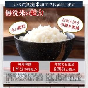 ふるさと納税 くまもとの無洗米 10kg 熊本県和水町