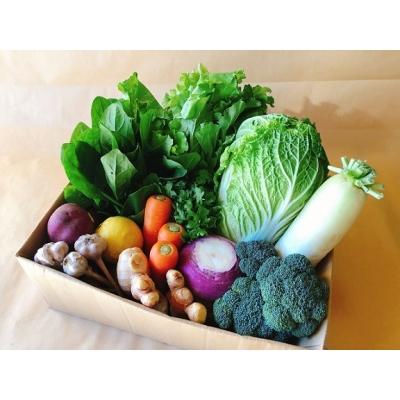 ふるさと納税 越知町 越知産市の季節の野菜セット(年3回発送)　産地直送　旬野菜