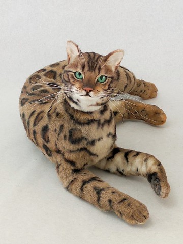 訂製寫實孟加拉貓玩偶