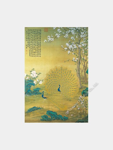 孔雀開屏/1008片/郎世寧/故宮/璀璨