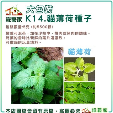【綠藝家】大包裝K14.貓薄荷種子5克 (約5500顆)(香草種子)