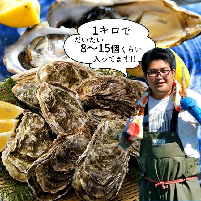 牡蠣 訳あり [SALE] 今が旬!! カキ 3kg 浜のまかない規格外品 復興牡蠣 加熱用 殻付き牡蛎 漁師直送 真がき 焼き牡蠣用 生かき 三陸 宮城県産