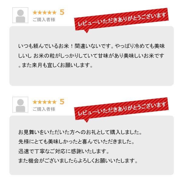 新米 10kg 極上魚沼産コシヒカリ お米 10キロ 令和5年産 送料無料 こしひかり 精米 白米 5kgx2袋