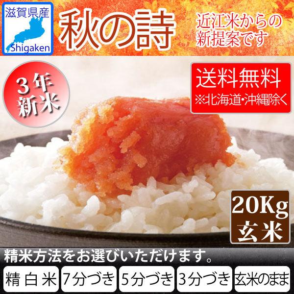 令和4年新米 滋賀県産秋の詩20Kg玄米(10Kg×2本)   お好きな分つきに 送料無料※一部地域を除く