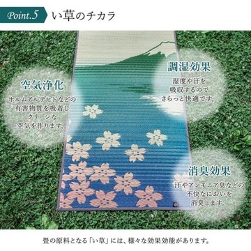 日本製 藺草瑜珈墊 IKEHIKO 九州藺草 180×60 櫻花富士 瑜珈墊 瑜珈 瑜伽墊 日本進口 代購