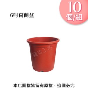 6吋荷蘭盆(栽培盆)10個/組