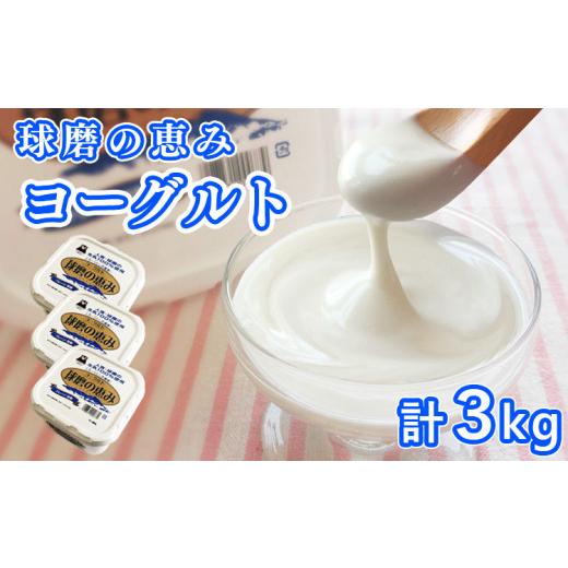 ふるさと納税 熊本県 あさぎり町 とろ〜り食感!!球磨の恵みヨーグルト 加糖タイプ 1kg×3パック