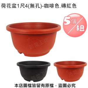 荷花盆1尺4(無孔)-咖啡色.磚紅色 5個/組咖啡色