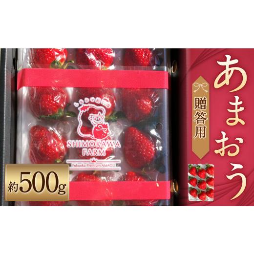 ふるさと納税 福岡県 筑後市 あまおう 贈答用（約500g） いちご 果物 フルーツ 福岡県産