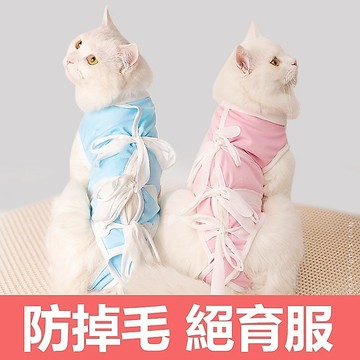 【PEt】貓咪絕育服 母貓手術服 衣服防掉毛 斷奶 公貓防舔術后 寵物貓貓防護服