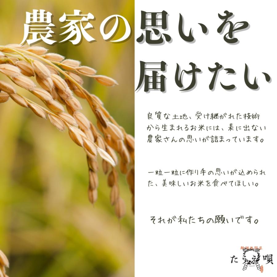 新米 令和５年産 岩船産こしひかり 15kg（5kg×3）送料無料 米 お米 こめ ギフト プレゼント 贈り物 新潟 白米 精米 美味しいお米 新潟産米