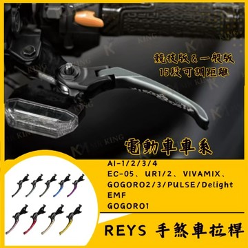🔱 Mr king 🔱REYS拉桿 GOGORO PULSE Ai 1 EC05 UR1 VIVA MIX GOGORO
