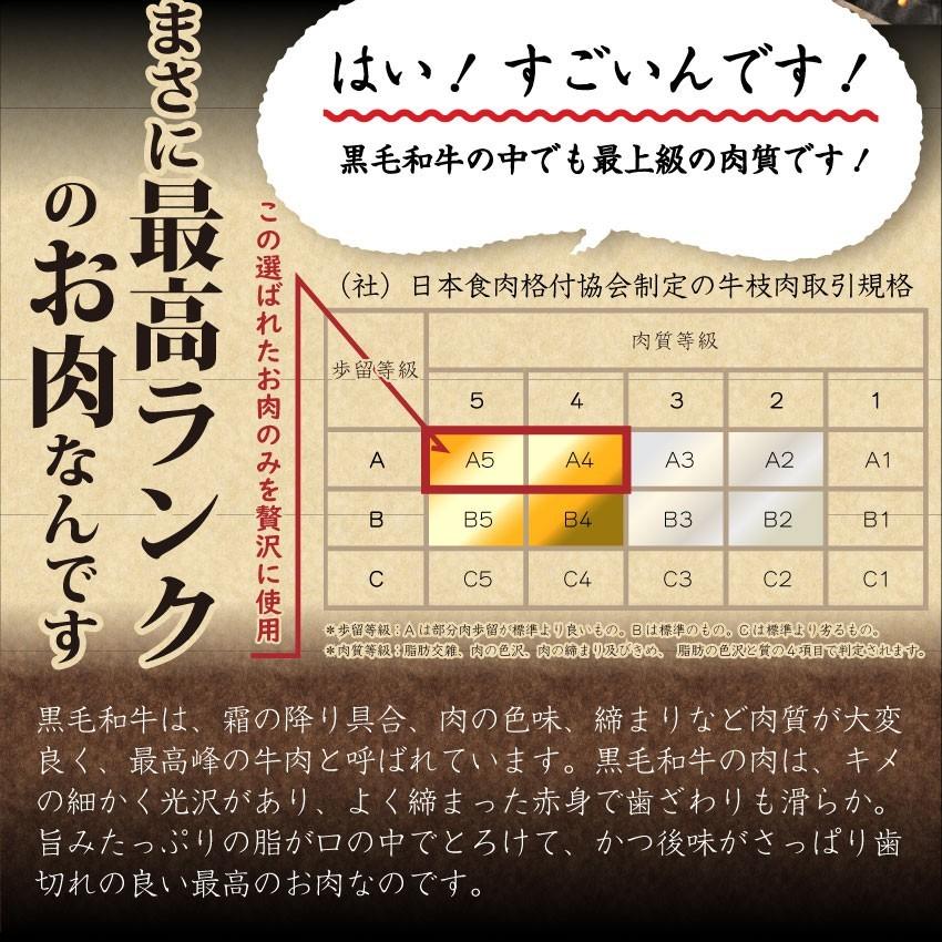 牛肉 肉 特松 福袋 黒毛和牛 A4 A5等級のみ使用 1.6kg 凍眠 テクニカン 肉の福袋 3種 超豪華福袋セット お歳暮 ギフト 食品 お祝い