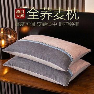 枕芯雙人家用一對裝夏季蕎麥殼硬枕頭單人男護頸椎專用枕頭助睡眠