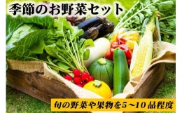 ＜畑から直送＞季節のお野菜セット