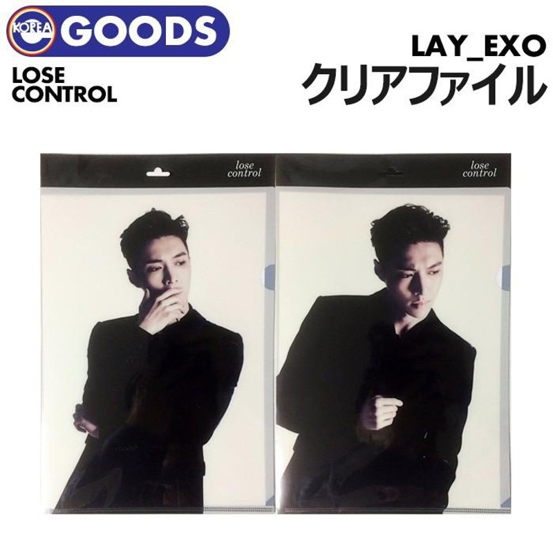 LAY レイ たたき込ん EXO クリアファイル